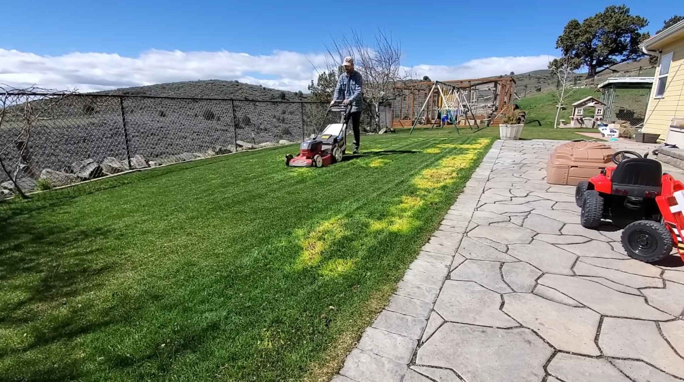 Sod Installation & Lawn Renovation service in San Bruno, CA